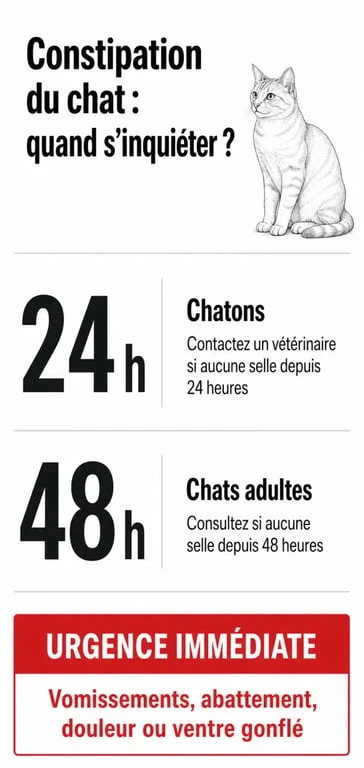 Infographie des seuils d'alerte et quand consulter un vétérinaire pour la constipation du chat