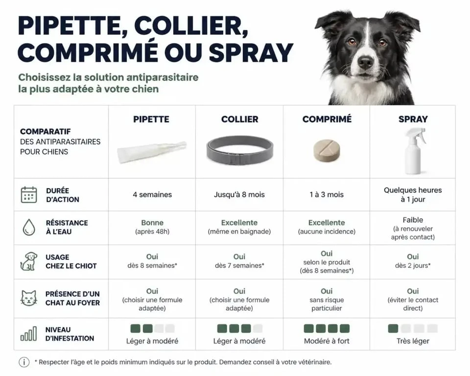Comparatif du meilleur anti puces chien selon la forme, la durée et la résistance à l’eau